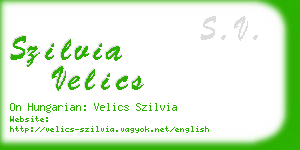szilvia velics business card